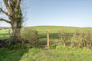 Photo 3- click for photo gallery